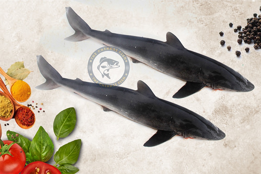 Shark / Paal Sura / சுறா மீன் - (1kg)